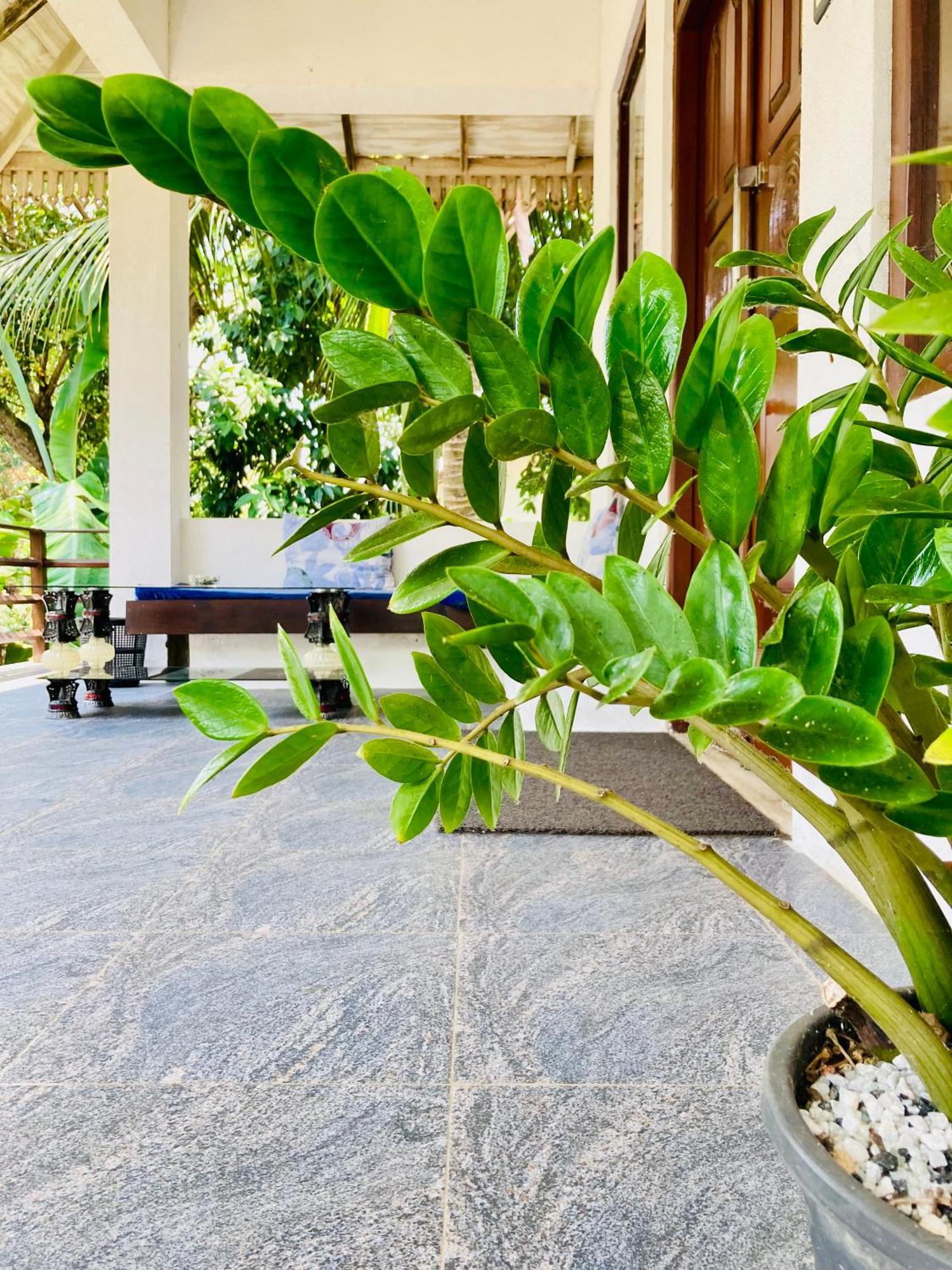 Mountain Seaview Cabanas Tangalle Exteriér fotografie