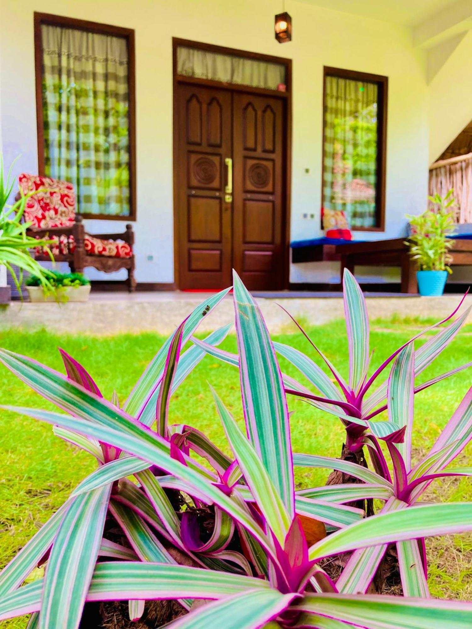 Mountain Seaview Cabanas Tangalle Exteriér fotografie