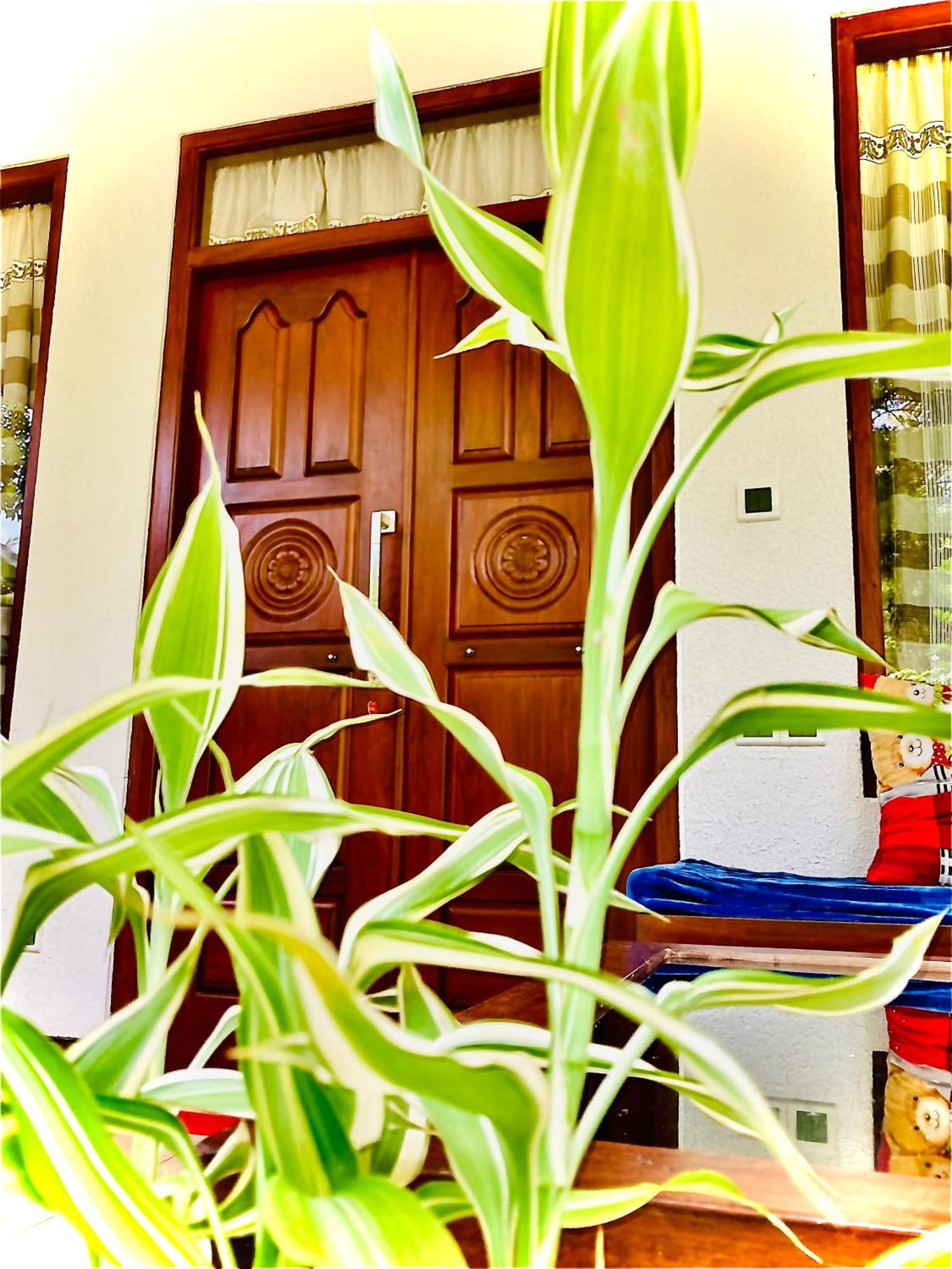 Mountain Seaview Cabanas Tangalle Exteriér fotografie