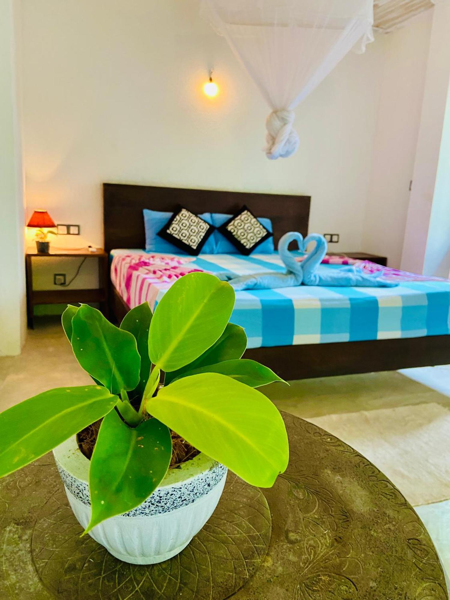 Mountain Seaview Cabanas Tangalle Exteriér fotografie